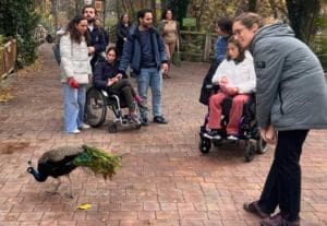 Actividades de ocio para personas con discapacidad severa